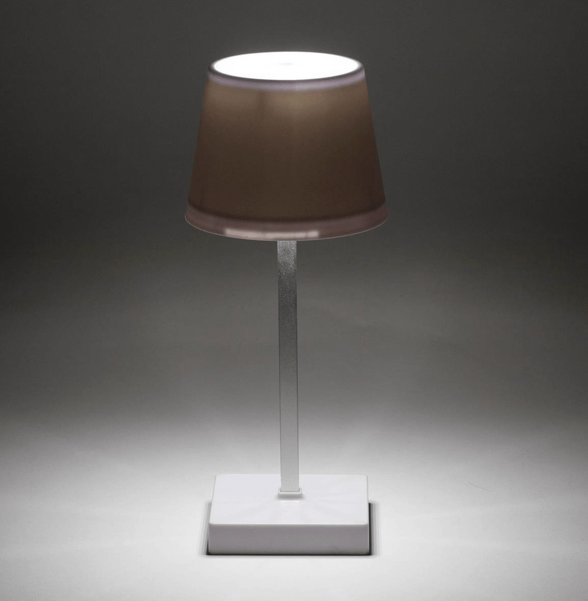 Desk Lamp & Essentials